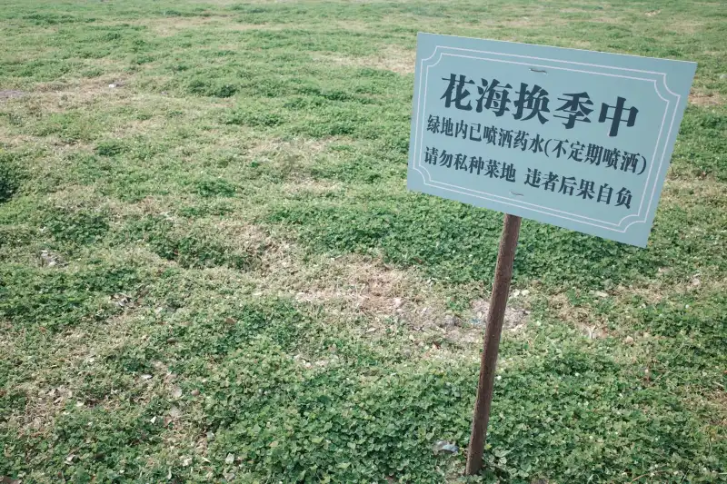 粤东地区活动执行全流程管理要点与风险控制方案