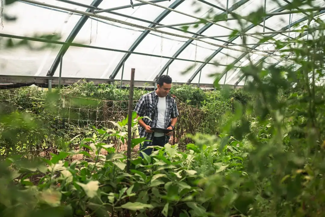 汕头广告制作项目方案设计要点与材料选择指南