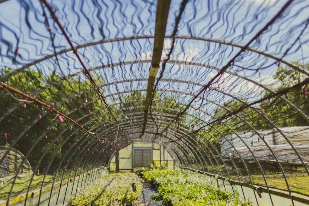 广告传媒行业常用材料性能对比与环保替代方案分析