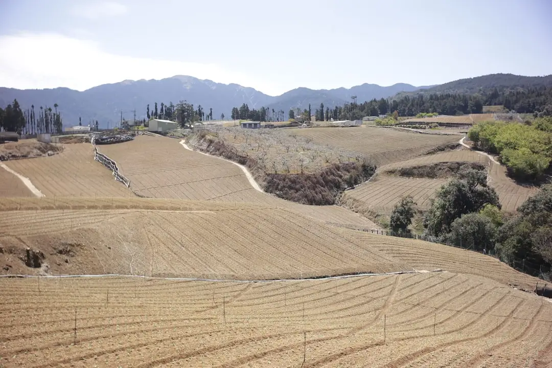 品牌活动策划执行全流程管控要点及常见问题规避