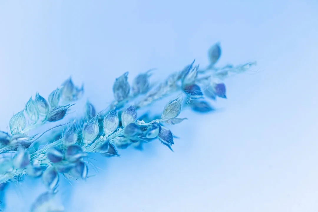 广告制作中数字印刷与传统工艺的对比及选型指南