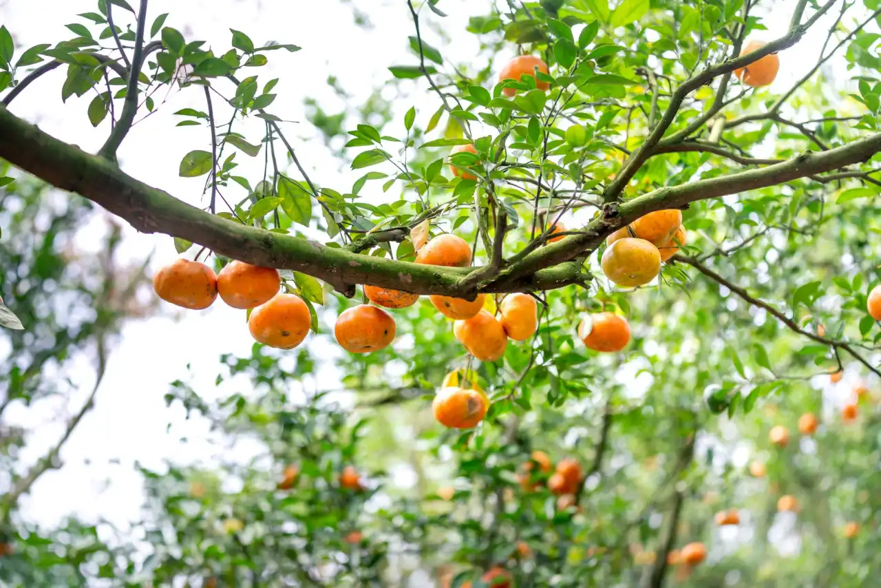 汕头艺千万广告传媒活动执行全流程解析与关键节点把控